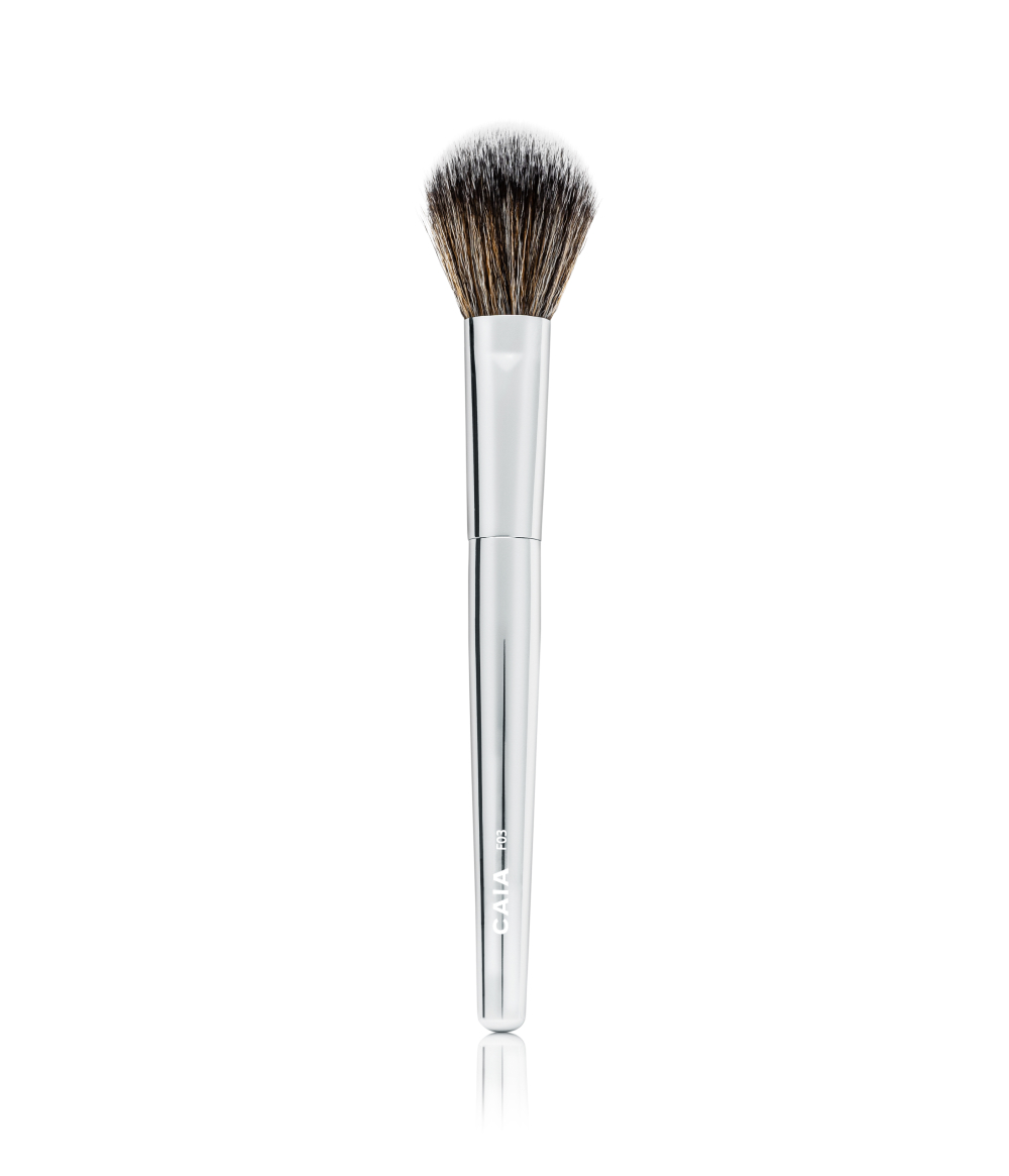 DOMED POWDER BRUSH 03