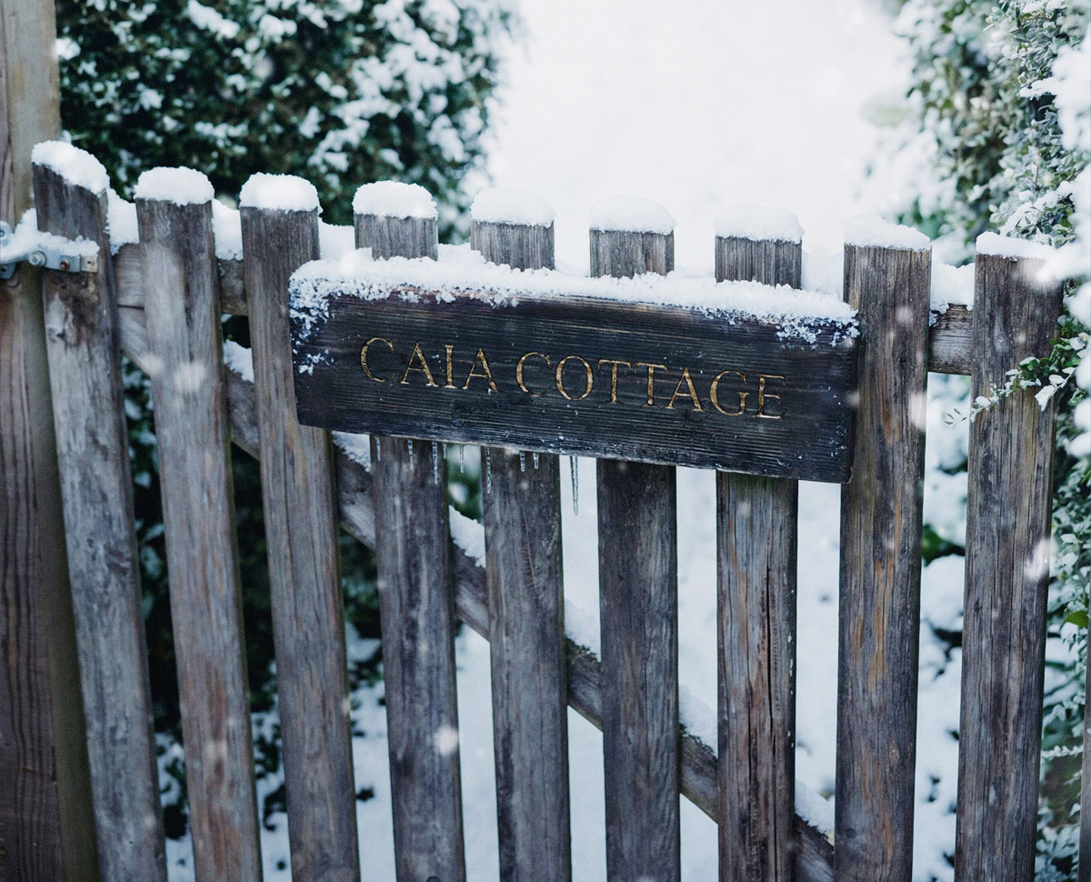 CAIA ADVENT CALENDAR