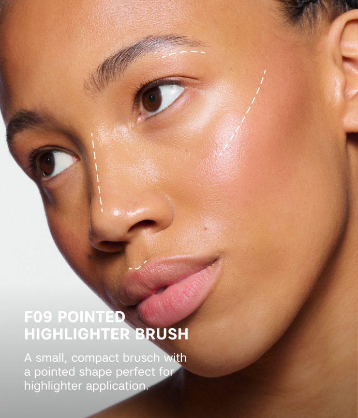 POINTED HIGHLIGHTER BRUSH F09