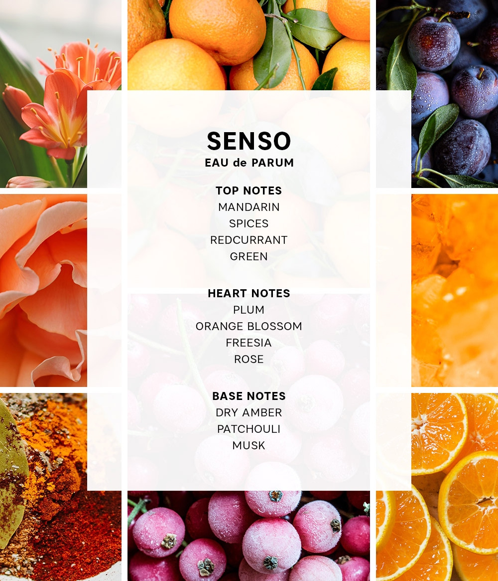 MINI TRAVEL COLLECTION MINI TRAVEL COLLECTION